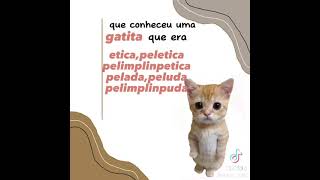 euuuuuTenho um gatito que era ético peletico [upl. by Darsie]