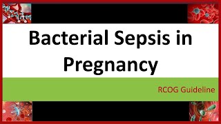 Bacterial Sepsis in Pregnancy  RCOG Guideline 64 A [upl. by Theran529]