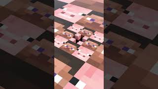 Steve Pig Illusion minecraft [upl. by Nedia640]