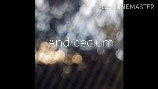 Androecium Pronunciation [upl. by Enialed]