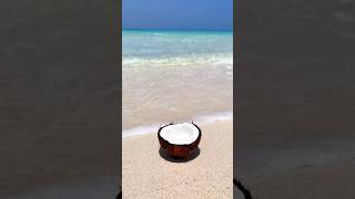 Zanzibar beaches travel beach ocean summer youtubeshorts africantravel nature moreviews [upl. by Okun]