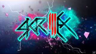 Mix Musica Electronica 2013 SKRILLEX VOL 12 [upl. by Sinnal]