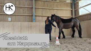 Lieblingsübung Das Kleeblatt 🍀 mit Seitengängen am Kappzaum 🐴  HK Pferdetraining [upl. by Noid]