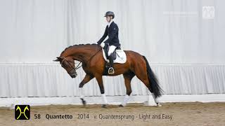 135 EliteAuktion am 13 OktoberNr 58 Quantetto v Quantensprung  Light and Easy [upl. by Kirit]