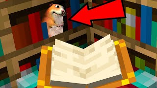 Esse HAMSTER tava escondido ali FIND CHOMIKS MINECRAFT [upl. by Kowal]