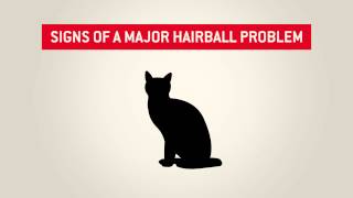 Cat hairballs  Purina [upl. by Squire]