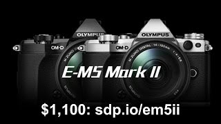 Olympus EM5 II Technical Review [upl. by Vogeley920]