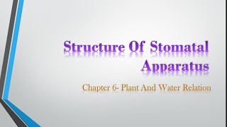 Structure of Stomata  Guard Cell Function  State Board  Chapter6 Plant and water Relation [upl. by Abra262]