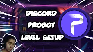 CÁCH SETUP LEVEL CHO PROBOT TRONG DISCORD [upl. by Palm125]