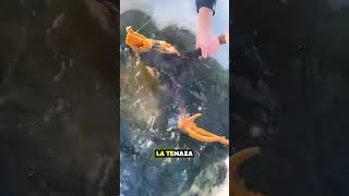 Chicos encuentran SORPRESA en Lago Congelado shorts [upl. by Ahsemrak]