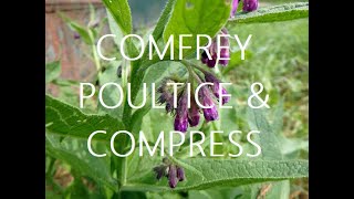 Comfrey Poultice amp Compress [upl. by Craner277]