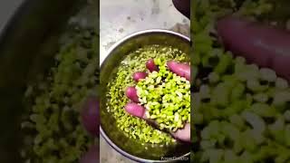 Cowpeas Seeds Sabji in Village Style😋🤤😋dehatikitchen viral village youtubeshorts trending food [upl. by Holt]