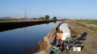 16 Catfish in one day in Arizona Canal Throwback [upl. by Ahsin826]