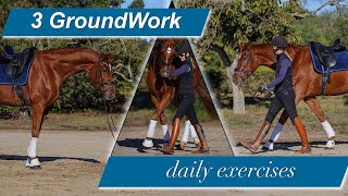 The three quick groundwork exercises WILL relax and focus your horse [upl. by Rolanda]