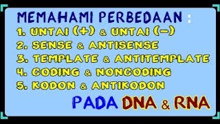 MEMAHAMI PERBEDAAN  Sense dan Antisense Template dan Antitemplate Kodon dan Antikodon [upl. by Cathi]