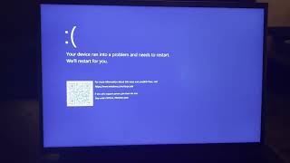 The wininit Blue Screen of Death [upl. by Maffa69]