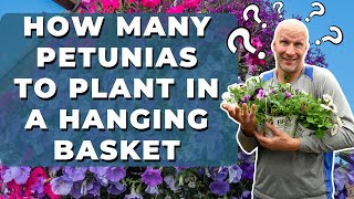 How Many Petunias to Plant in a Hanging Basket [upl. by Marilee]