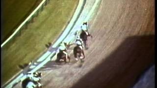 Secretariat wins the 1973 Preakness Stakes [upl. by Britteny]