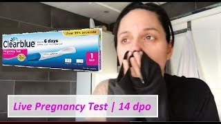 Live Pregnancy Test  13 dpo SMU  14 dpo FMU  Cycle 2 TTC [upl. by Anerbas308]