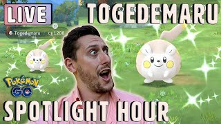 Togedemaru Spotlight Hour Shiny Grind Pokemon GO [upl. by Holly]