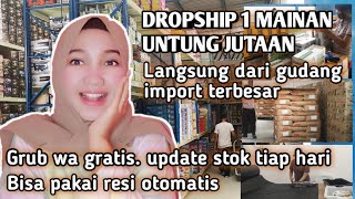 DROPSHIP MAINAN ANAK LANGSUNG DARI GUDANG IMPORT [upl. by Vonny]