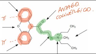 Farmacoquímica del sistema nervioso autónomo Control de Colinérgicos y adrenérgicos [upl. by Adnar]