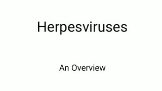 Herpes virus short notes [upl. by Fee889]