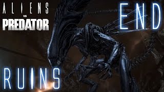 AVP Aliens vs Predator NIGHTMARE Alien Mission 5 Ruins  Gameplay Walkthrough [upl. by Jann]