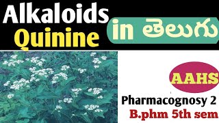 Quinine in తెలుగు b pharm 5th sem  pharmacognosy 2 unit 3 [upl. by Tnarb]