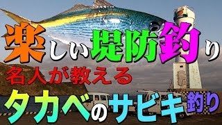 楽しい堤防釣り 名人が教えるタカベのサビキ釣り Surffishing [upl. by Silvain]