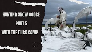 Hunting Snow Goose With quotThe Duck Campquot Part 5 [upl. by Mcclees576]