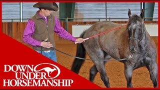 Clinton Anderson Intermediate Testing Groundwork Part 1  Downunder Horsemanship [upl. by Aek]