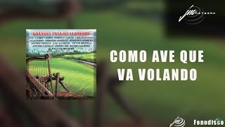 Como Ave que va Volando  Grandes Pasajes Llaneros  FD [upl. by Nahtanohj]