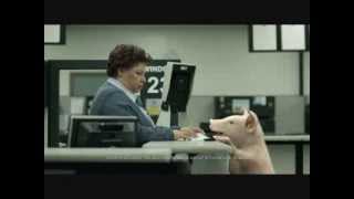 GEICO DMV Commercial Maxwell  Extended Version [upl. by Micky]