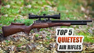 Top 5 Quietest Accurate Air Rifles  Madman Review [upl. by Beaulieu]