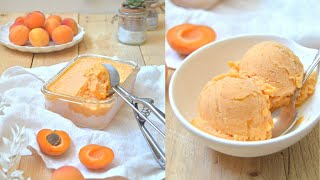 Recette Sorbet Abricots facile [upl. by Adnilemre]