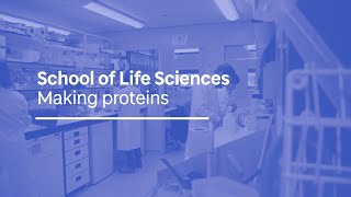 Making proteins [upl. by Sikleb]