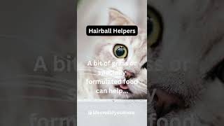 Hairball helpers catfact catlover short [upl. by Dode]