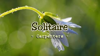 Solitaire  KARAOKE VERSION  as popularized by Carpenters [upl. by Dory626]