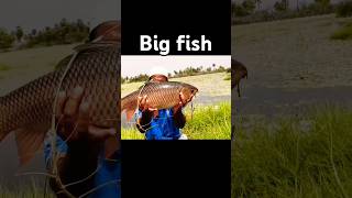 youtubeshorts fishing fisherman bigfish trending trendingshorts viralshorts shortsfeed [upl. by Anitrak696]