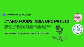 Spirulina Farming Consultation [upl. by Idok176]