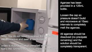 Agarose Gel Preparation [upl. by Jopa]