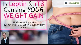 Trouble losing weight It could be Your Leptin and Reverse T3 levels [upl. by Santiago]