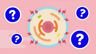 Emerging Therapeutics for APOL1Mediated Kidney Disease [upl. by Mackey660]