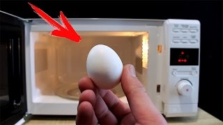 EXPERIMENT Microwave VS EGGS [upl. by Astera193]