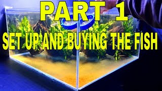 How To Breed Otocinclus Catfish Part 1 Set Up [upl. by Philina]