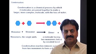 Condensation and hydrolysis  First Year Biology  Chapter 2  Part 3 [upl. by Strait]