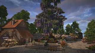 Tiny Market Square And Tavern wInteriors  Conquest ReFabricated [upl. by Ymeraj162]