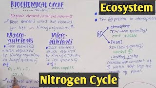 Introduction to ecosystem  Class 12 Biology [upl. by Onafets]