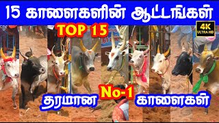 Top 15 best தரமான No  1 காளைகள் Tamizhan Trending [upl. by Leisam]